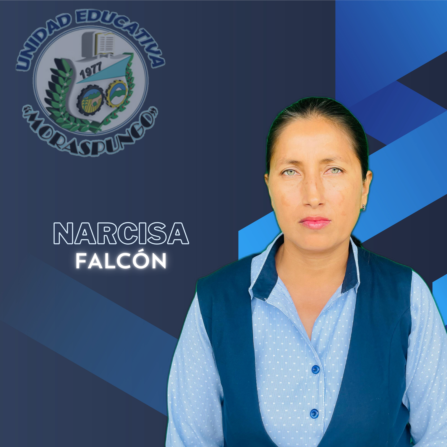 Docente Narcisa Falcon